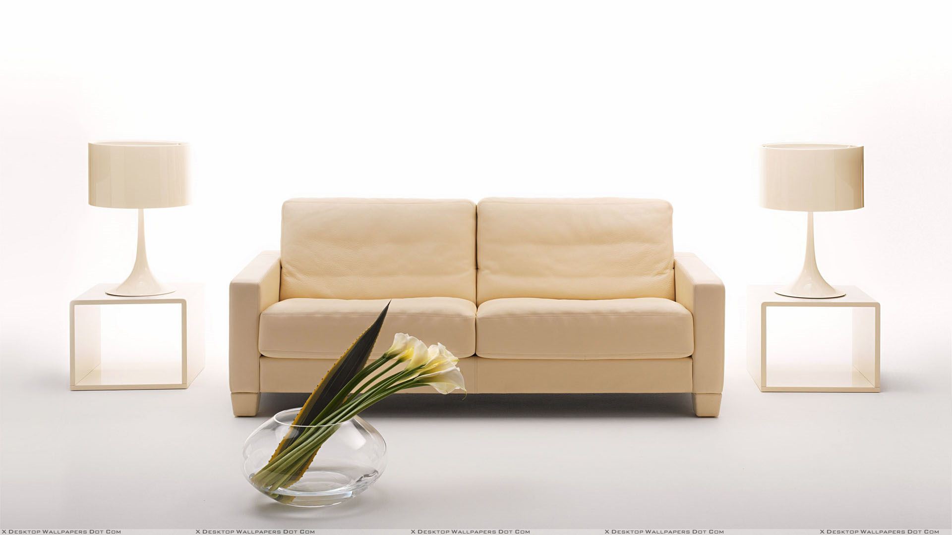 BG cusion Sofa  - 08